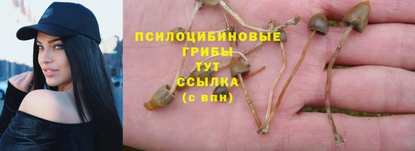 дживик Абаза