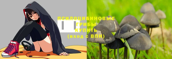 дживик Абаза