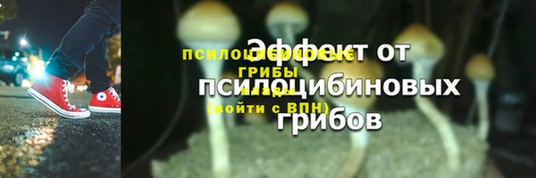 дживик Абаза