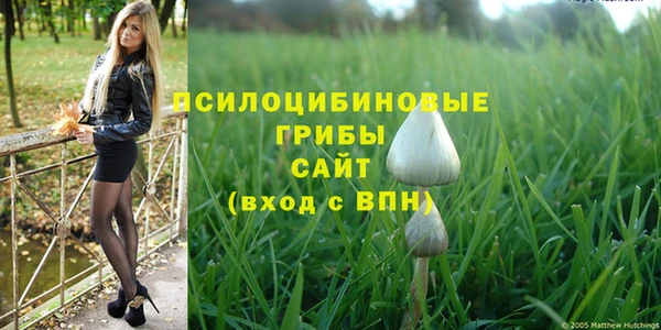 дживик Абаза