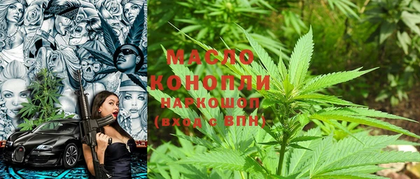 дживик Абаза