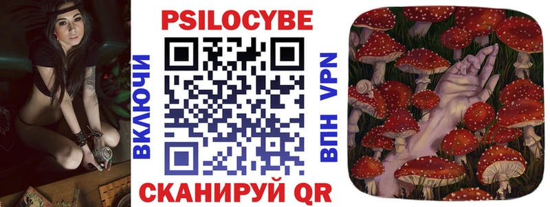 Псилоцибиновые грибы Cubensis Нахабино